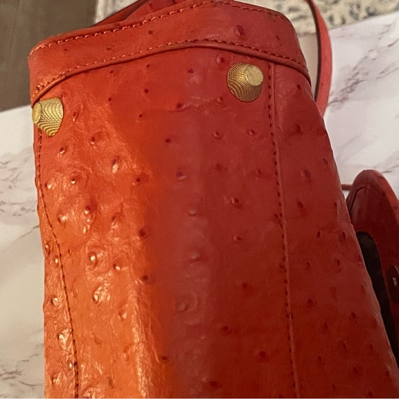 Rebecca Minkoff Ostrich Sachel Bag - Picture 7 of 12